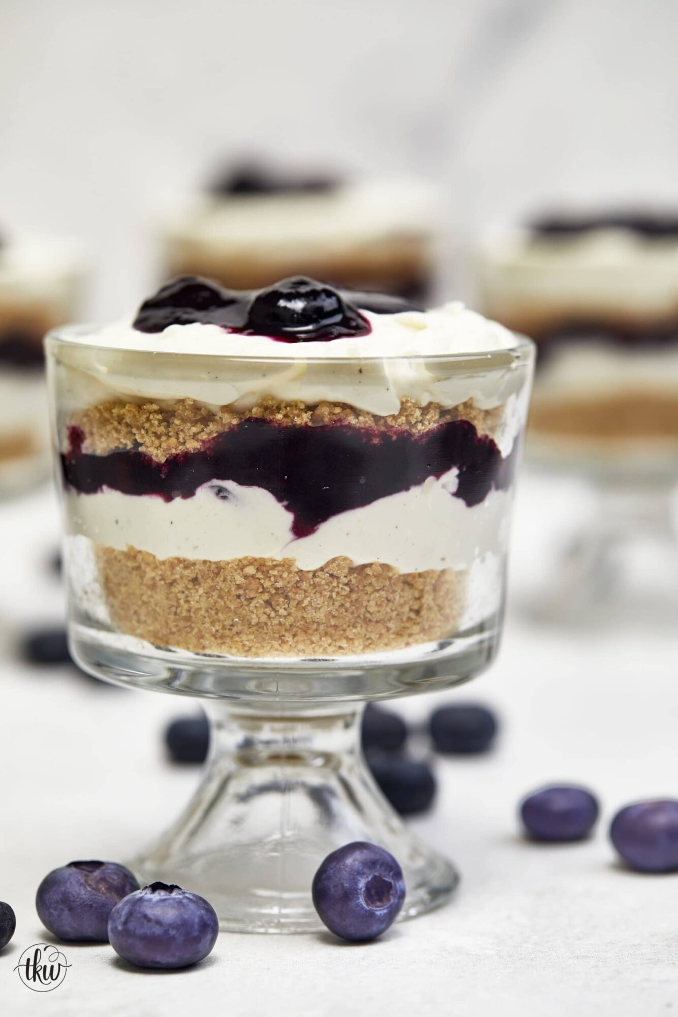 No Bake Blueberry Cheesecake Parfaits 27a scaled 1