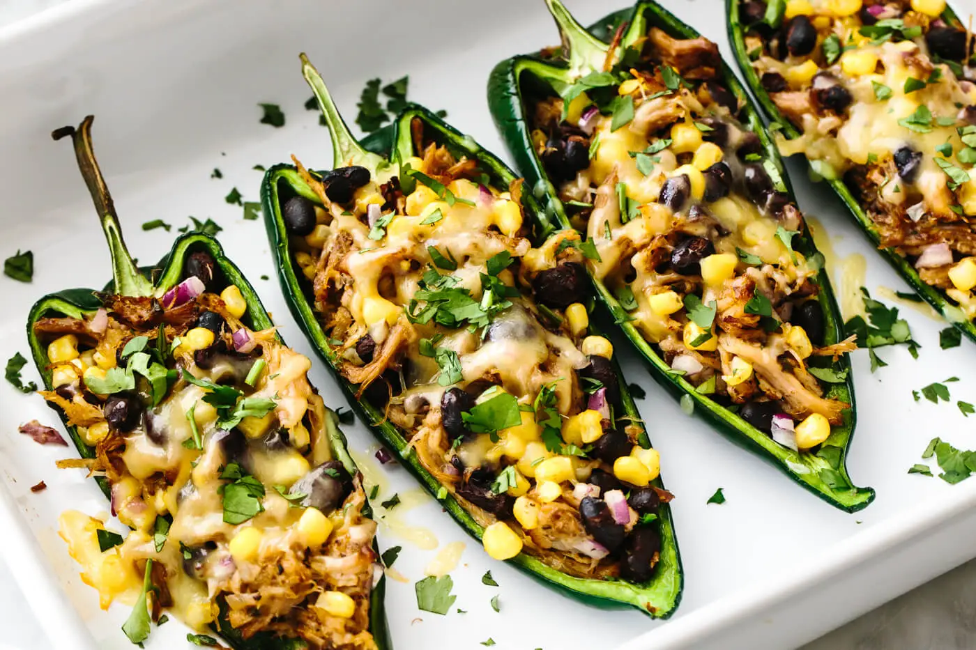 Pork Carnitas Stuffed Poblano Peppers 1 Carnitas Stuffed Poblano Peppers main 1